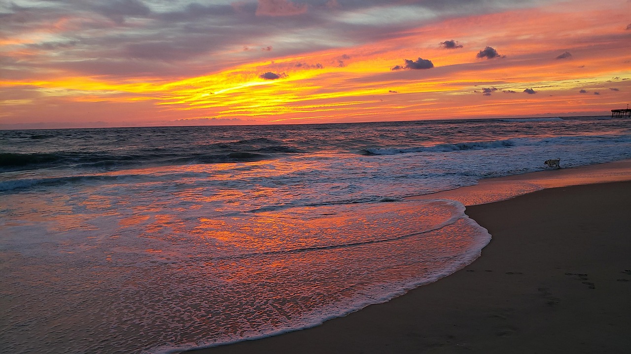 Ocean, atlantic, sunrise, sea, sky, landscape, surf, waves, sand, summer, view, nature, vacations, water, beach, outer, banks, obx, north, carolina