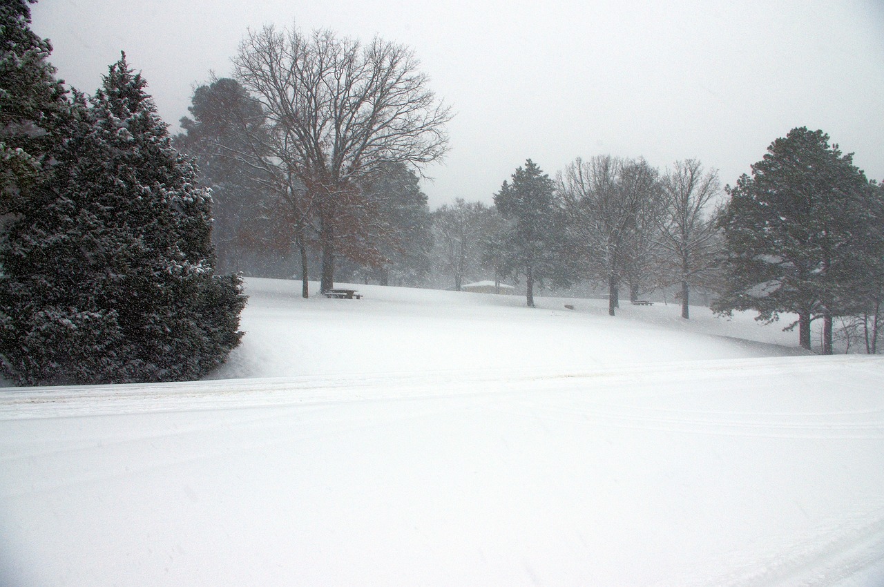 Wintry arkansas day, snow, white, snowing, storm, winter, cold, nature, landscape, trees, snowy, wintry, arkansas, snowfall, frosty, arkansas, arkansas, arkansas, arkansas, arkansas, snowfall