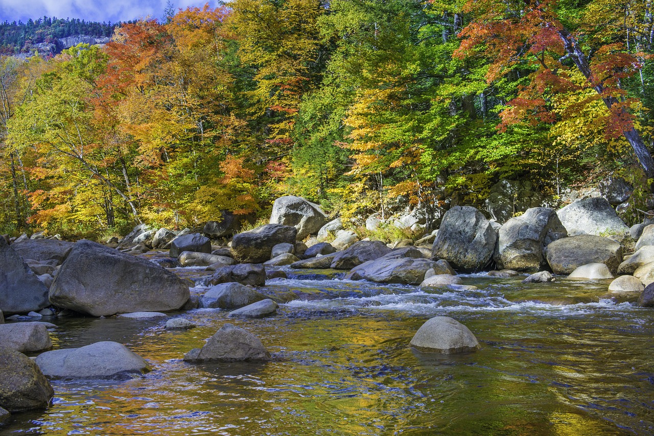 Nature, fall, autumn, october, trees, leaf, leaves, landscape, outdoor, water, forest, seasonal, river, stream, new hampshire, new hampshire, new hampshire, new hampshire, new hampshire, new hampshire