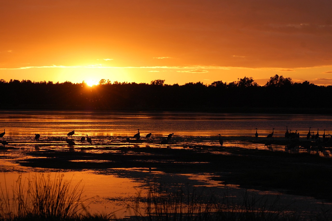 Landscape, sunset, nature, wisconsin