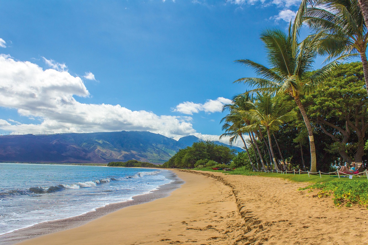 Beach, landscape, hawaii, maui, kihei, true, palmer, nature, mountains, sea