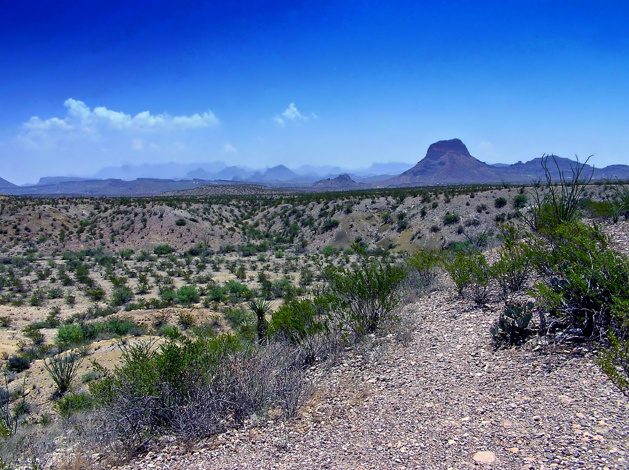 Texas, landscape, scenic, mountains, plants, sky, clouds, nature, outside, countryside, texas, texas, texas, texas, texas