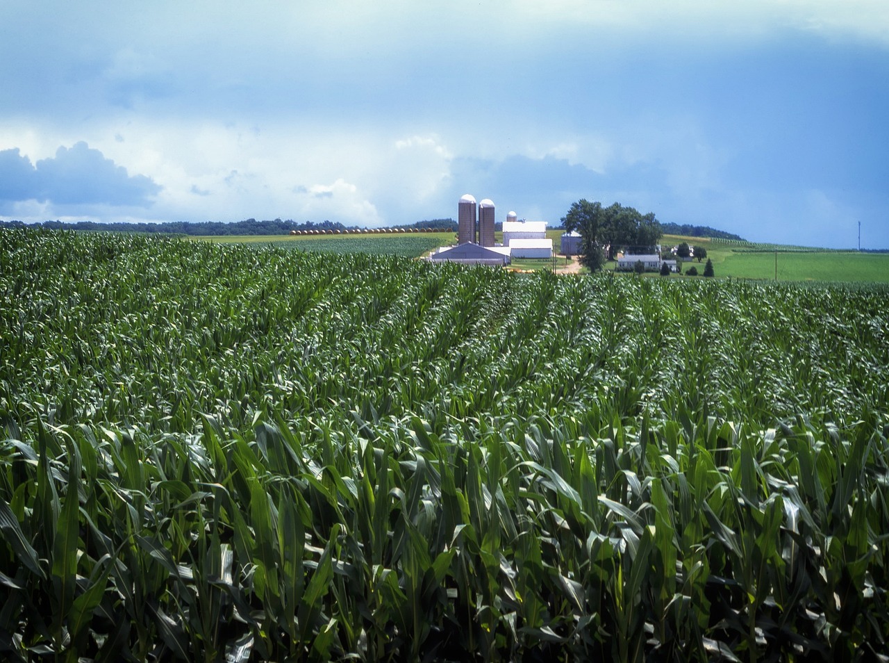 Pennsylvania, landscape, scenic, amish farm, rural, country, countryside, house, barn, sky, clouds, corn, agriculture, nature, outside, summer, green sky, green house, green clouds, green farm, pennsy