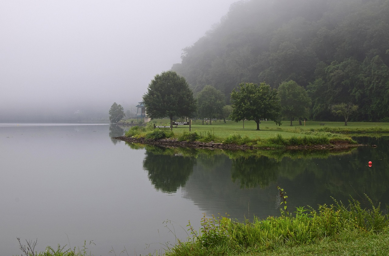 Melton lake park in the fog, melton lake park, tennessee, clinch river, oak ridge, landscape, park, reflection, serene, peaceful, colorful, gray river, gray peace, gray park, gray lake, tennessee, ten