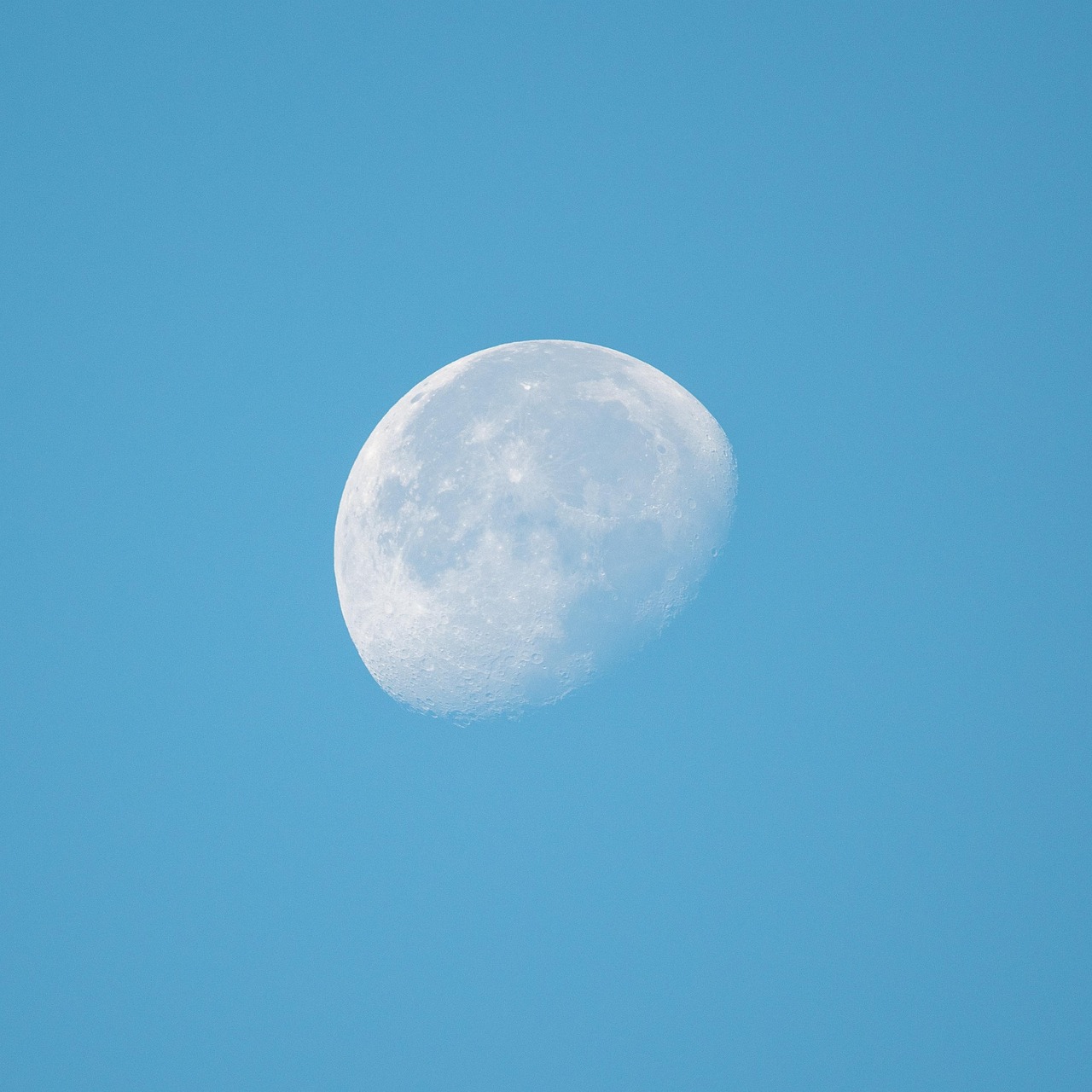 Moon, lunar, daybreak, sunrise, sky, night sky, waning gibbous, lunar phases, moon phases, nature, landscape, saint charles, missouri, lunar surface, moon surface