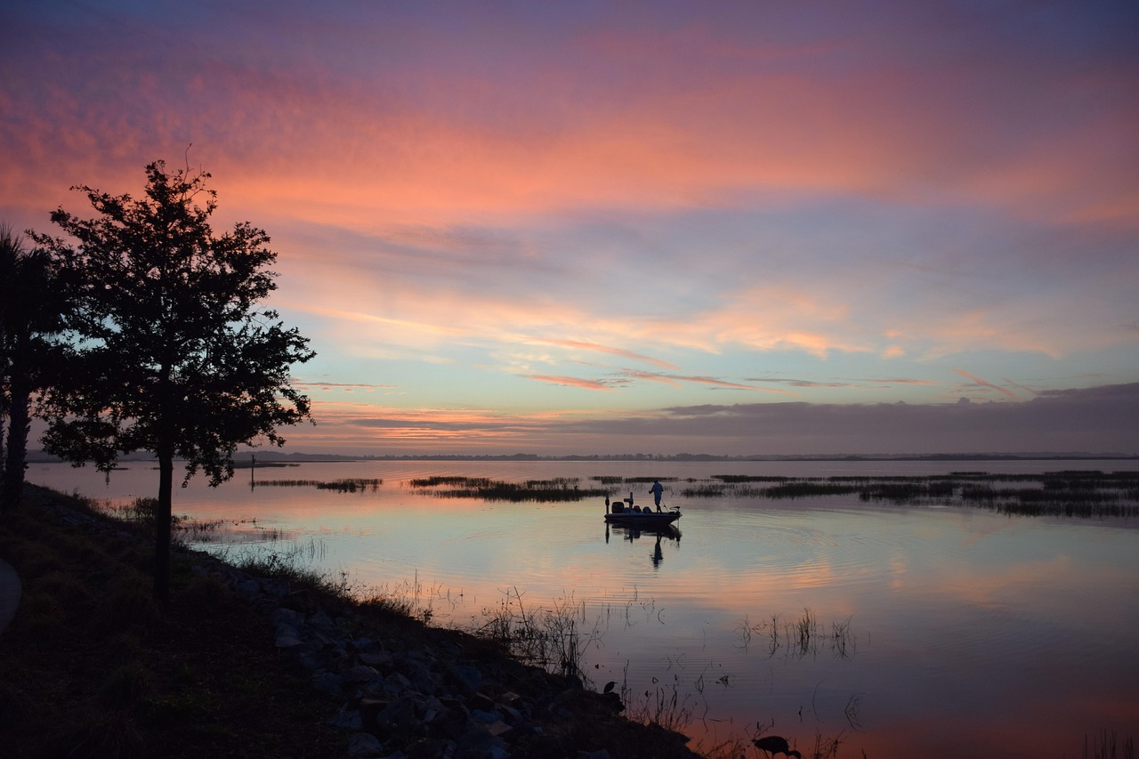 Fishing, nature, boat, bass, sunrise, lake, lake toho, kissimmee, florida