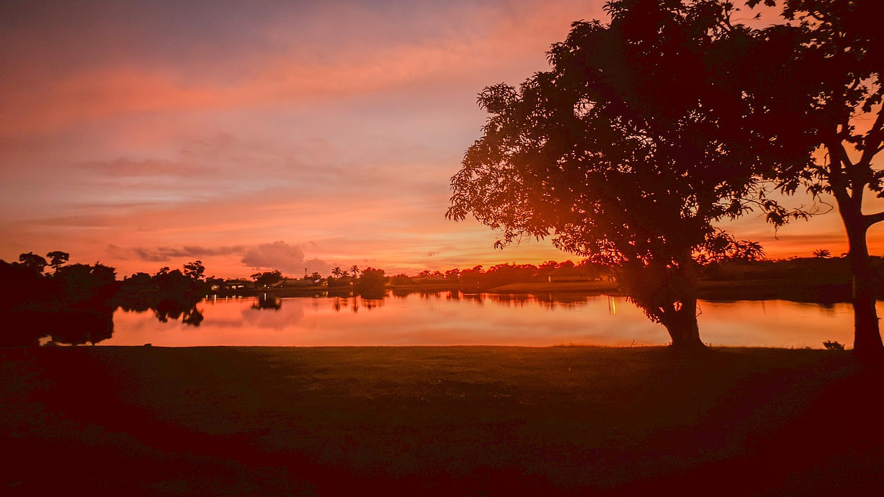 Sunset, view, outdoors, tropical, nature, palm, summer, landscape, United States, Florida, Harbour Heights