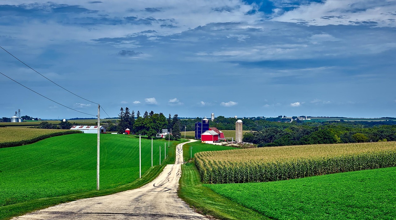 Wisconsin, panorama, farm, sky, clouds, landscape, scenic, fields, corn, crops, agriculture, summer, picturesque, nature, outdoors, country, countryside, rural, barns, road, trees, hdr, blue farm, wis