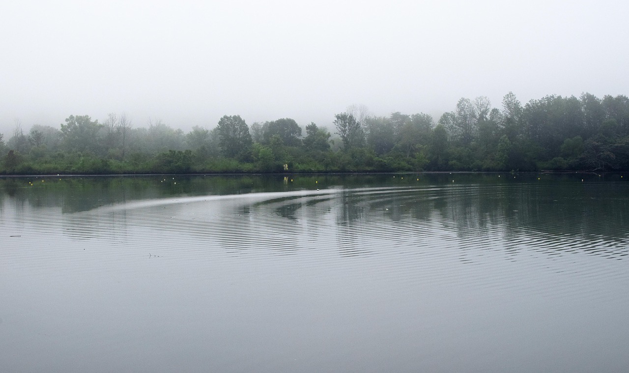 Ripples in the water, melton lake park in the fog, melton lake park, tennessee, clinch river, oak ridge, landscape, park, reflection, serene, peaceful, colorful