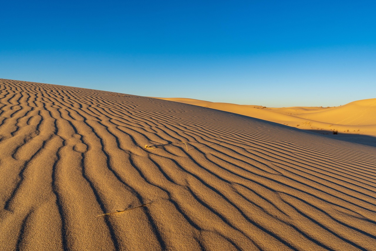 Desert, sand, dunes, nature, texas, landscape, arid, dry