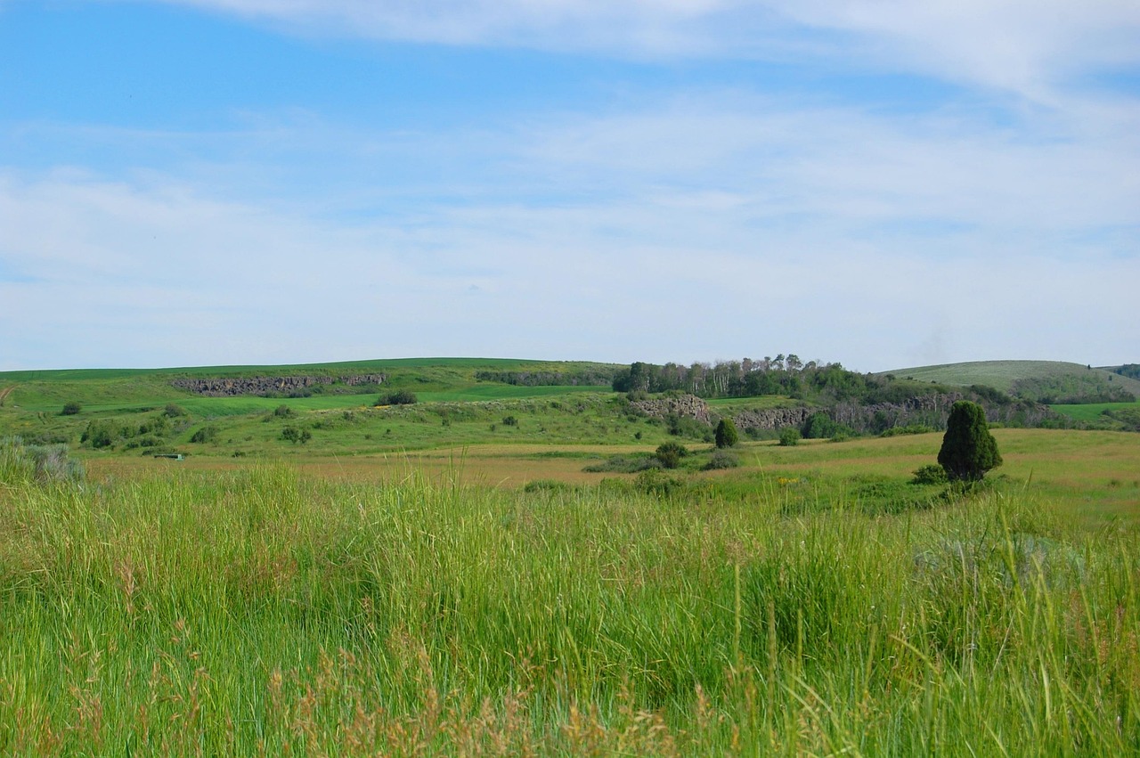 Landscape, prairie, nature, green, grass, sky, idaho, blue grass, prairie, prairie, idaho, idaho, idaho, idaho, idaho