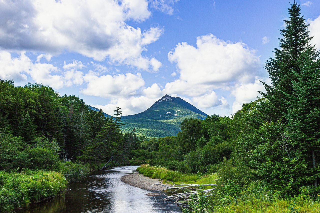 River, mountain, forest, woods, park, nature, landscape, maine, maine, maine, maine, maine, maine