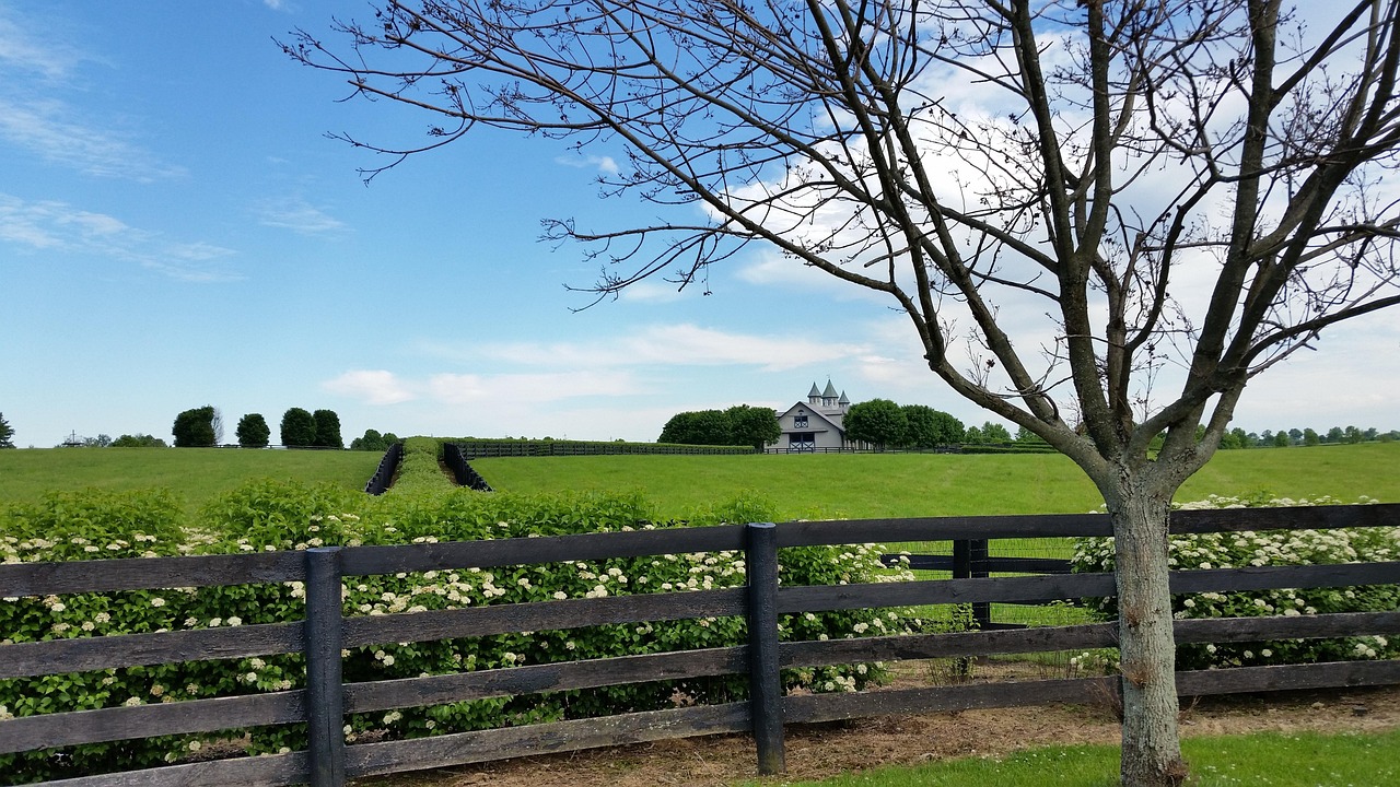 Horse farm, kentucky, lexington, horse, farm, grass, green, fence, country, field, landscape, kentucky, kentucky, kentucky, kentucky, kentucky, lexington