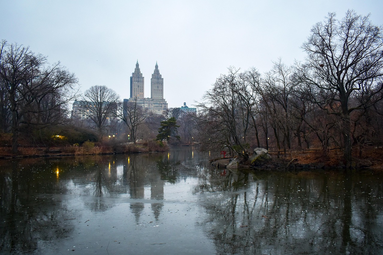Lake, central park, buildings, new york, nature, new york city, nyc, skyline, manhattan, travel, skyscraper, landscape