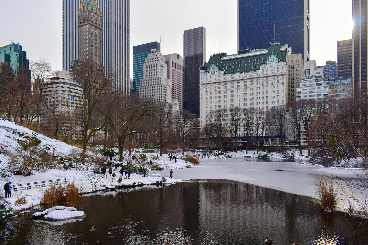 Skyscrapers, towers, buildings, central park, manhattan, new york, nyc, travel, landscape, new york city, landmark, skyline, architecture, cityscape, central park, central park, central park, central