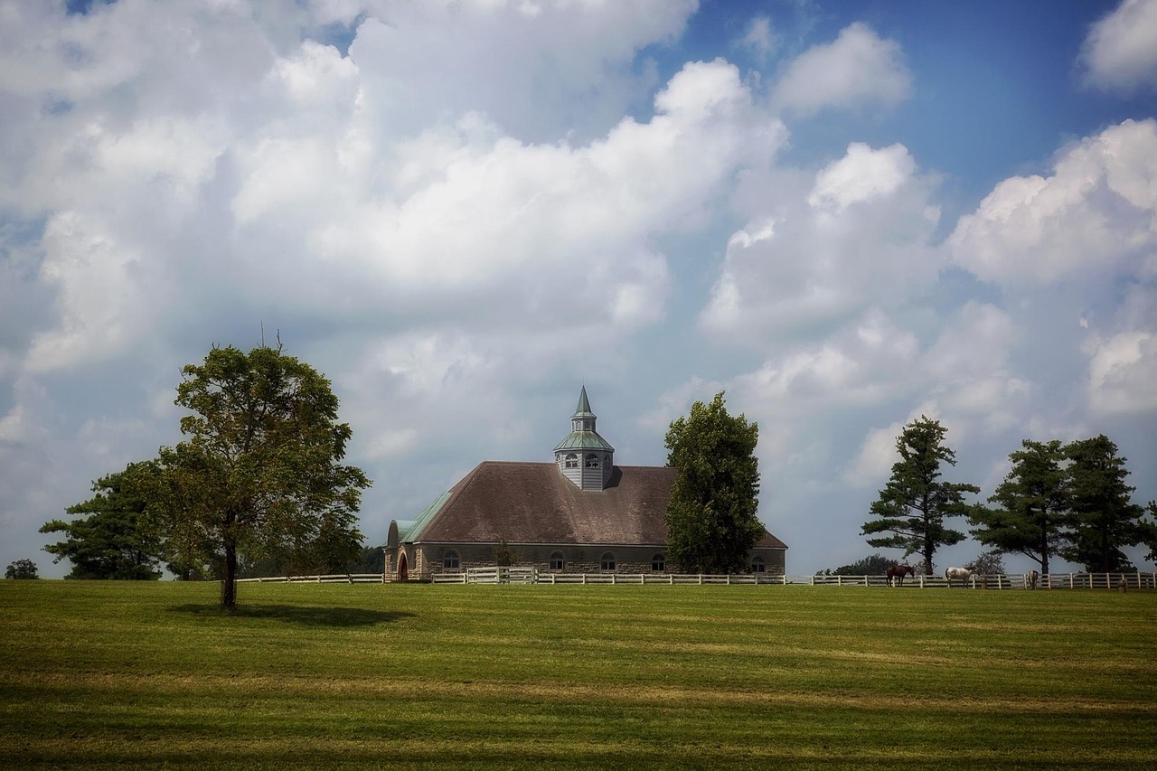 Lexington, kentucky, horse farm, rural, stable, horses, sky, clouds, landscape, scenic, summer, nature, outside, country, countryside, trees, field, pasture, meadow, lexington, lexington, lexington, l
