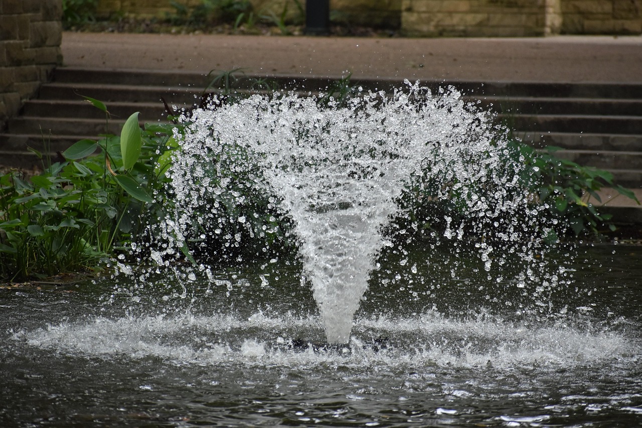 Houston zoo, fountain, park, pond, man-made pond, landscape, spout, glasier, free pictures, places to go, travel destinations, vacations spots, fun to see, phenomenal water spout, houston texas