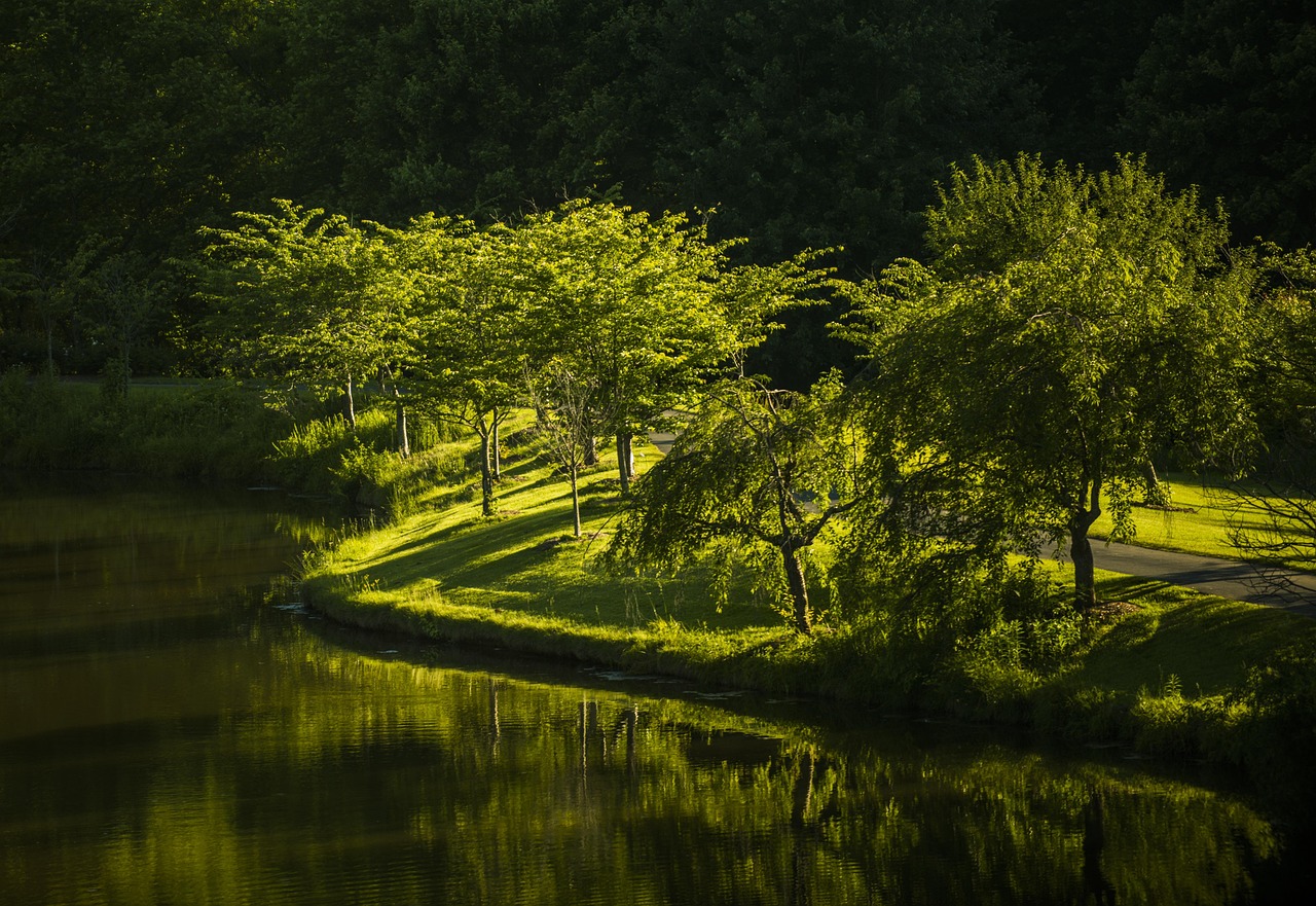 Park, nature, virginia, landscape, meadow, sunlight, forest, environment, beautiful, season, outdoor, park, virginia, virginia, virginia, virginia, virginia, forest, forest, environment, environment,