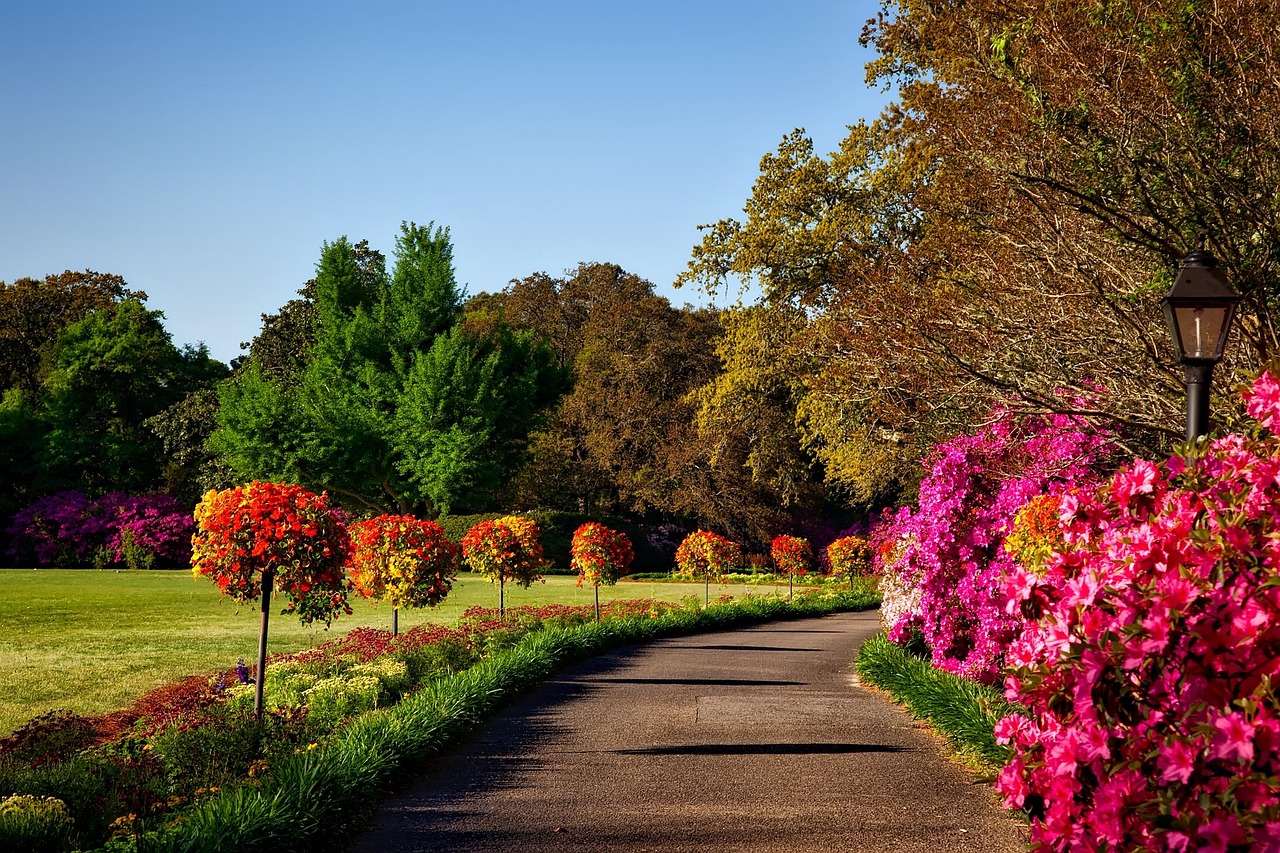 Bellingrath gardens, beautiful flowers, alabama, landscape, flower background, scenic, flower wallpaper, nature, outside, outdoors, country, countryside, rural, idyll, picturesque, tourism, flowers, p
