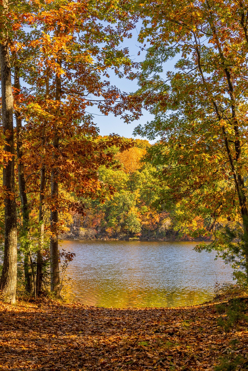 Wallpaper, ipad wallpaper, phone wallpaper, samsung wallpaper, nature, beautiful wallpaper, landscape, outdoors, scenic, beautiful, autumn, colours, fall, trees, foliage, mobile wallpaper 4k, lock scr