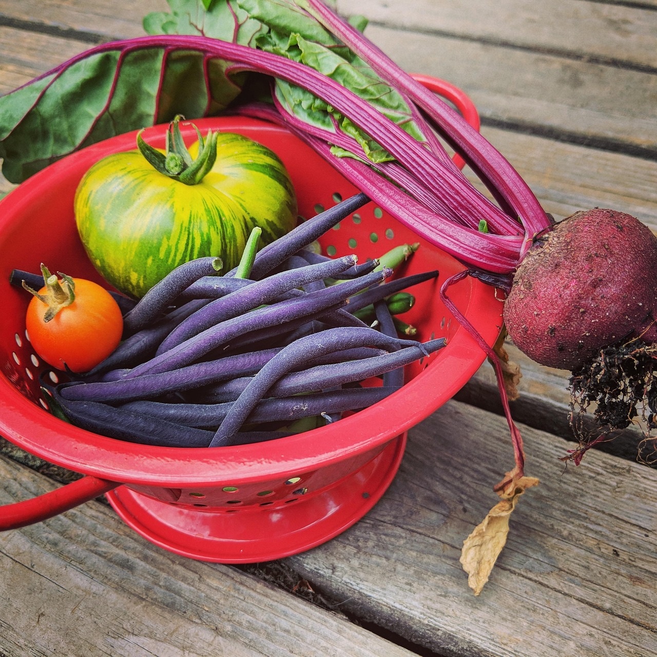 Beet, tomato, beans, colander, nature, vegetables, garden, food, fresh, United States, Washington, Marysville
