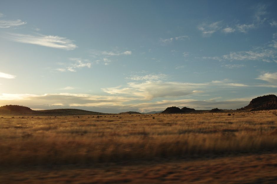 Serene golden landscape of Valentine, Texas capturing the open savannah during sunset.