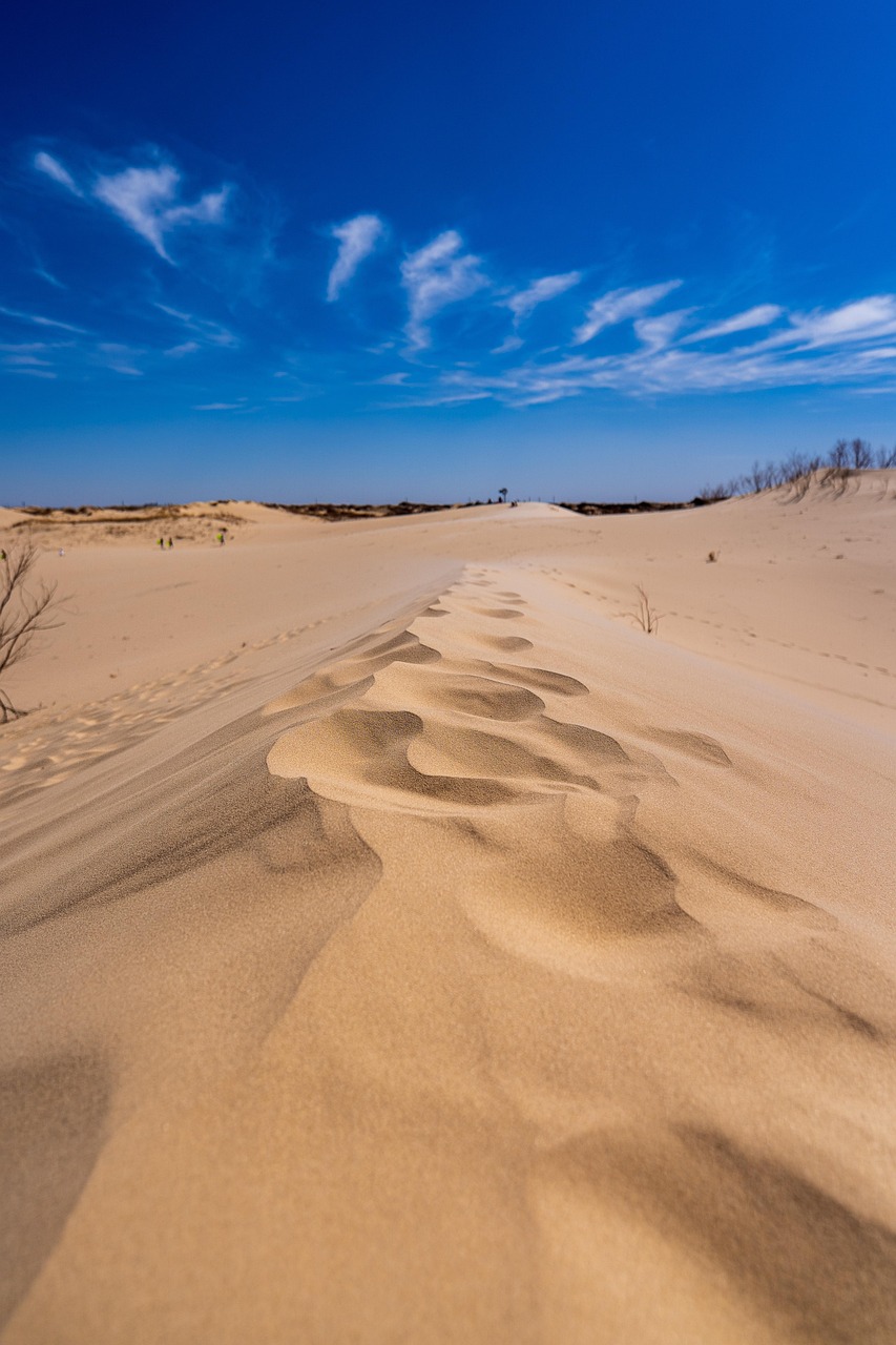 Sand, dunes, footprints, desert, texas, landscape, nature