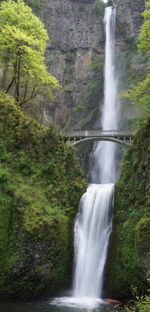 Waterfall, bridge, river, oregon, multnomah falls, columbia river gorge, nature, landscape, multnomah falls, multnomah falls, multnomah falls, multnomah falls, multnomah falls