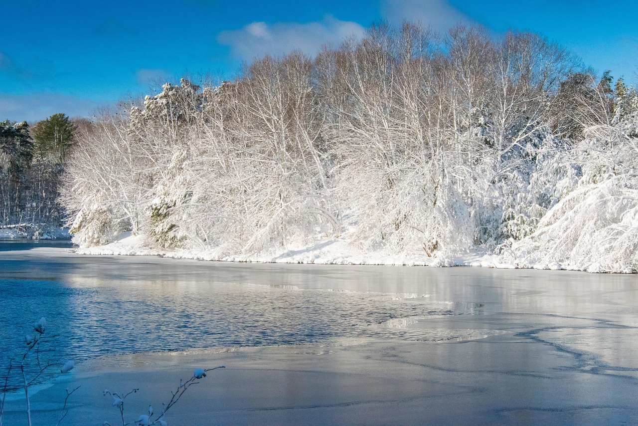 Winter, snow, trees, white, nature, landscape, sunrise, forest, snowflake, frozen, water, southborough, massachusetts, mohan, nannapaneni