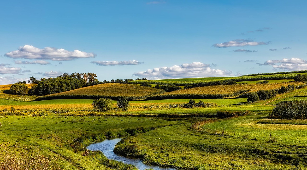 Wisconsin, panorama, fields, meadow, sky, clouds, landscape, scenic, farm, crops, agriculture, stream, creek, water, corn, summer, trees, hills, nature, outdoors, country, rural, beautiful, hdr, wisco