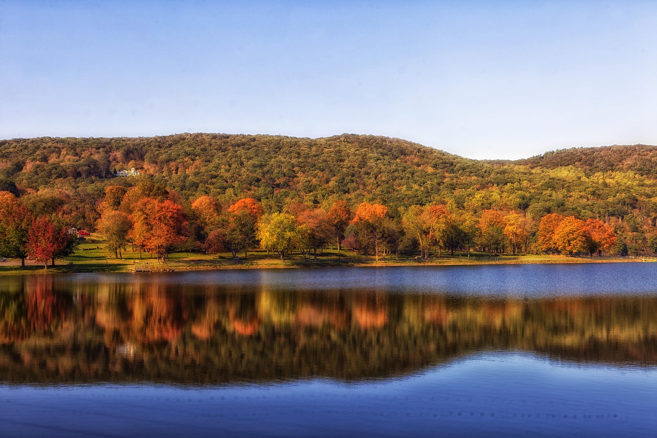 Squantz pond, connecticut, landscape, scenic, fall, autumn, forest, trees, country, countryside, nature, outside, lake, water, reflections, hdr, brown nature, brown water, brown forest, brown landscap