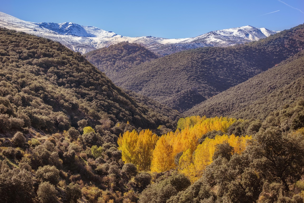 Autumn, landscape, trees, nature, sheets, forestry, lugros, granada, sierra nevada