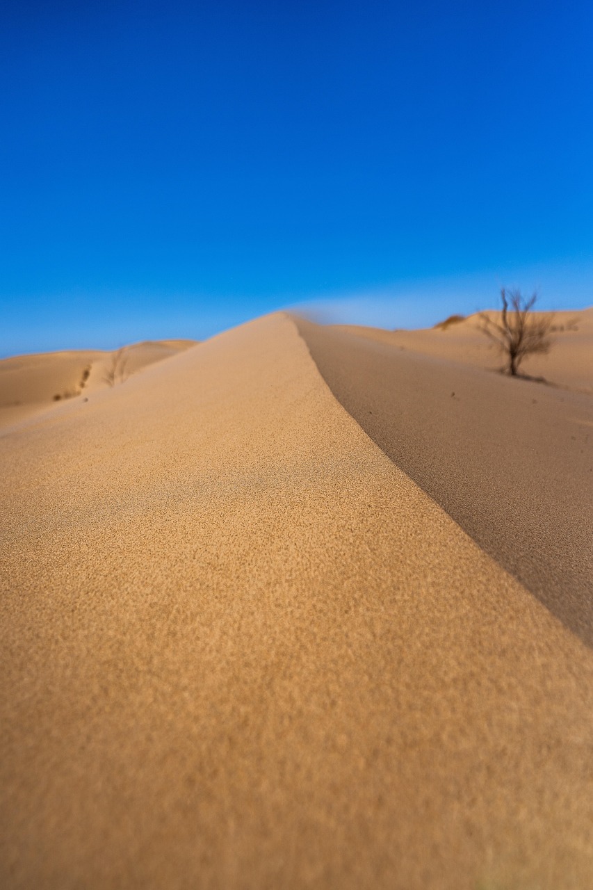 Sand, dunes, wind, texas, nature, landscape, desert
