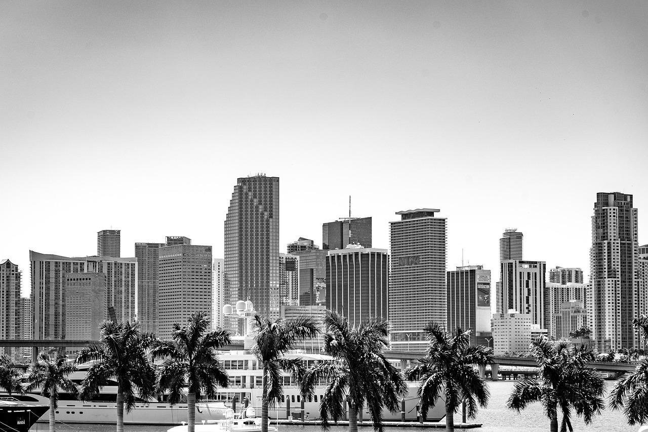 Miami skyline miami, skyline, beach, palm, miami, florida, nature, skyscraper, urban, usa, water, ocean, metropolitan