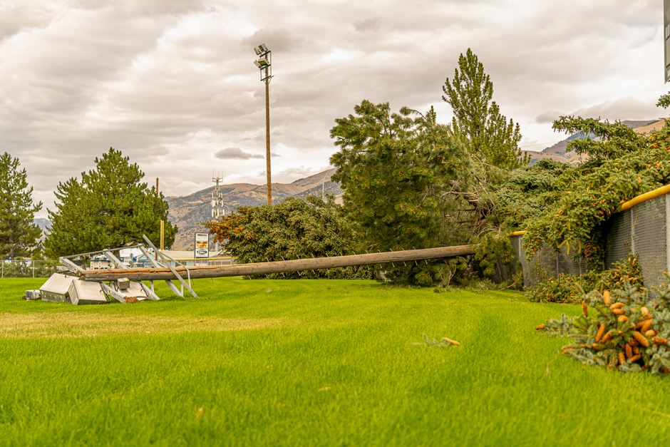 Fallen trees and power poles in a field after a storm
