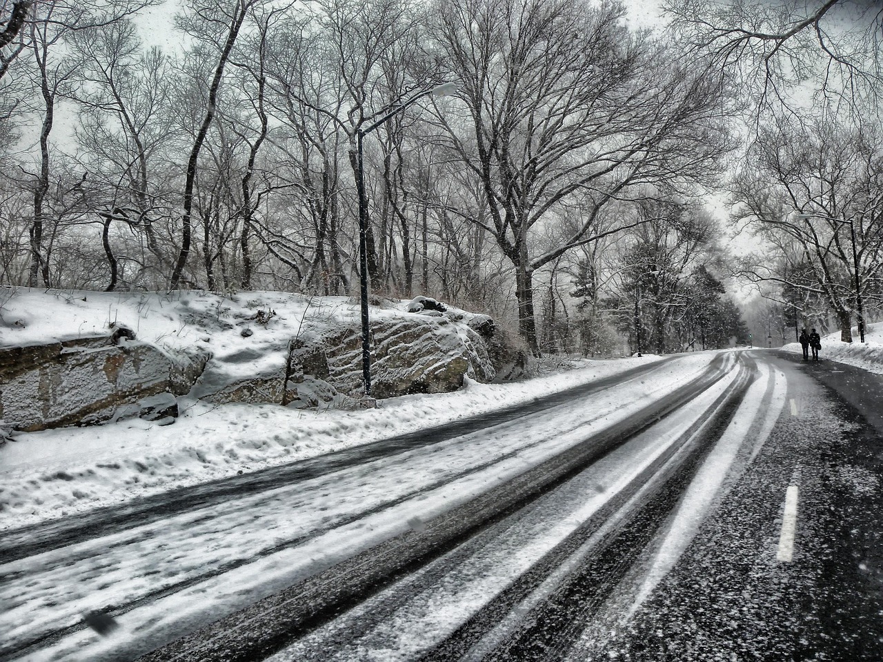 Central park, new york city, road, trees, winter, snow, rocks, silhouettes, ice, nature, outside, landmark, gray nature, gray city, gray tree, gray road, gray news, gray park, gray rock, gray snow, gr
