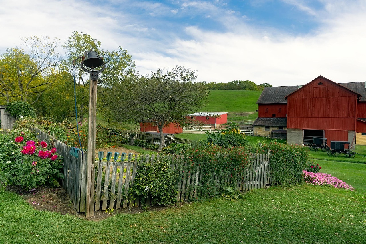Farm, ohio, amish, sky, clouds, garden, flowers, plants, crop, vegetable, beautiful flowers, agriculture, barn, dinner bell, rustic, landscape, scenic, nature, outdoors, country, rural, flower backgro