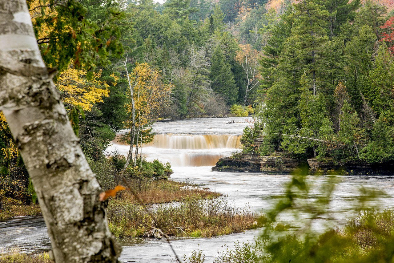 Tahquamenon falls, waterfall, scenic, michigan, nature, landscape, water, outdoors, stream, waterfalls, river, cascade, natural, environment, wet, flowing, outdoor, scenery, wilderness, forest, falls,