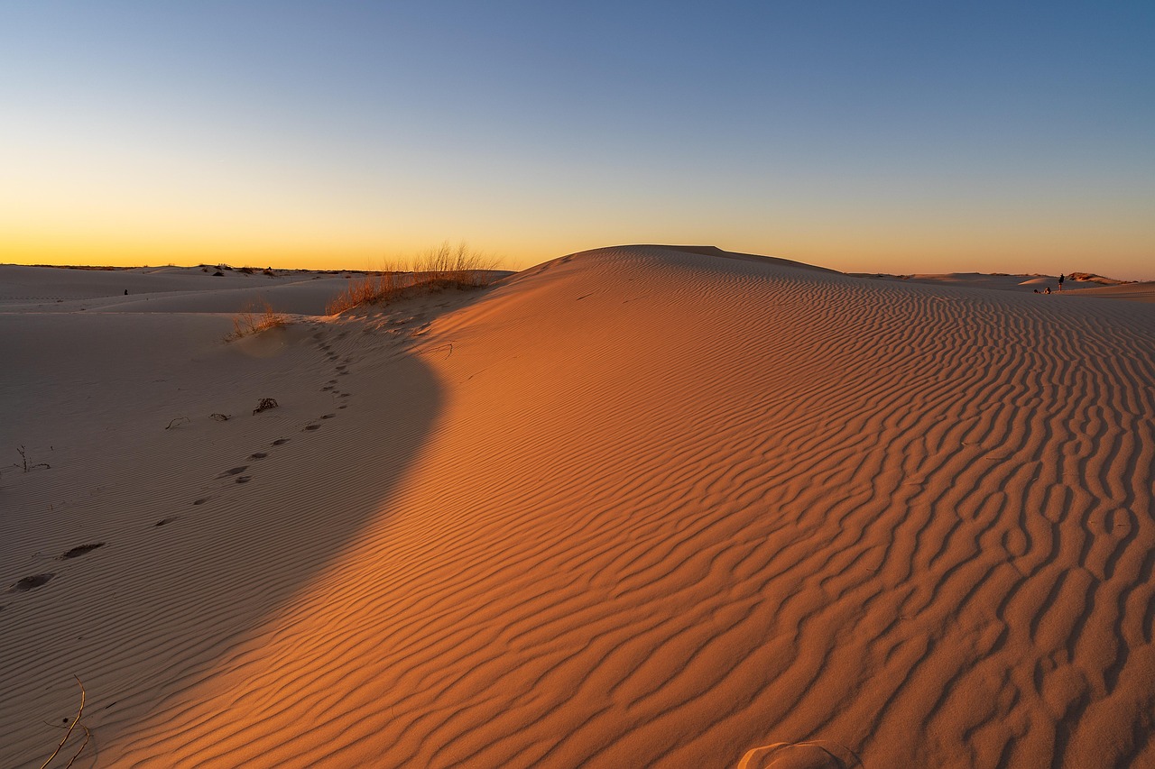 Desert, sand, dunes, sunrise, nature, texas, landscape, dawn