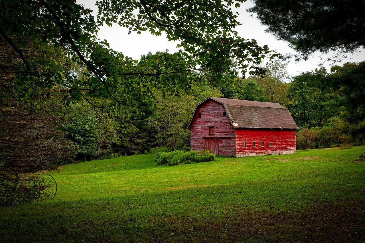 Red barn, farm, rustic, countryside, agriculture, rural, country, wood, farmland, building, wooden, old, landscape, nature, outdoors, hdr, meadow, field, idyllic, forest, trees, woods, connecticut, gr