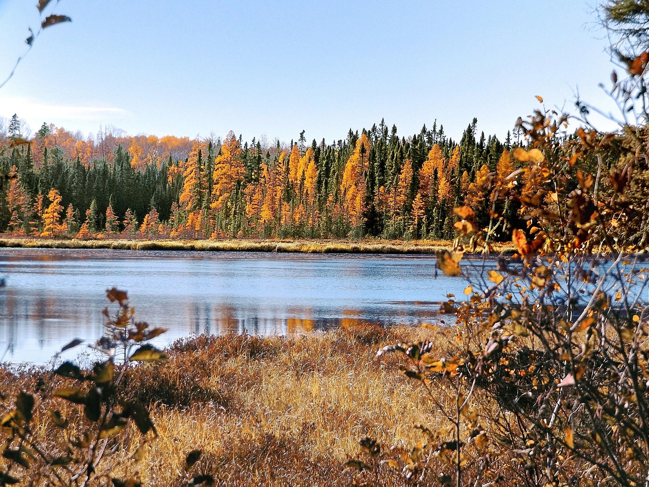 Autumn, pond, wetlands, nature, landscape, wilderness, forest, scenery, minnesota, minnesota, minnesota, minnesota, minnesota, minnesota