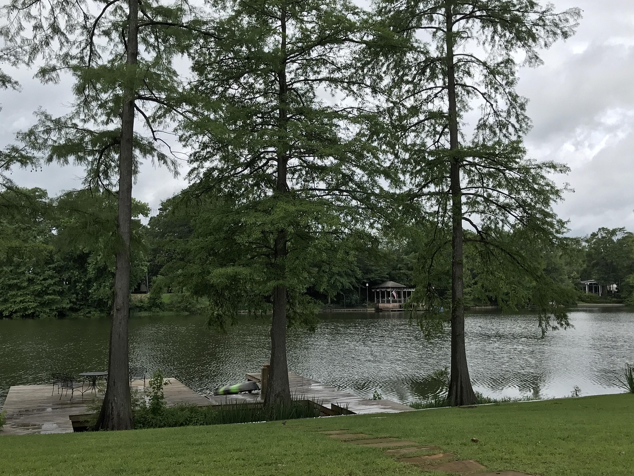 Swamp, louisiana, water, cypress, nature, bayou, moss, monroe, wetland, ecosystem, marsh, wilderness, scenic, louisiana, bayou, bayou, bayou, bayou, bayou, monroe