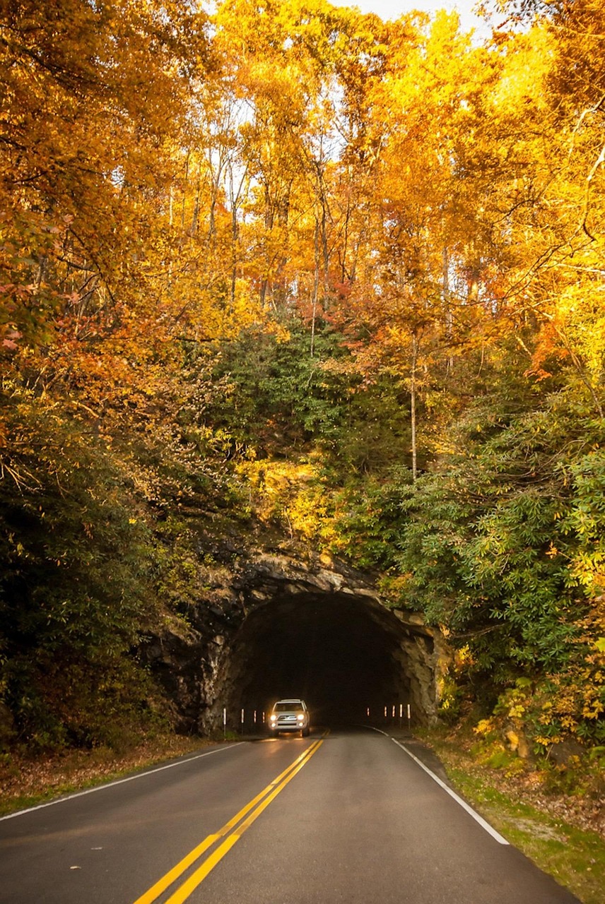 Tunnel, mountain, fall, autumn, nature, blue, ridge, parkway, north, carolina, beautiful