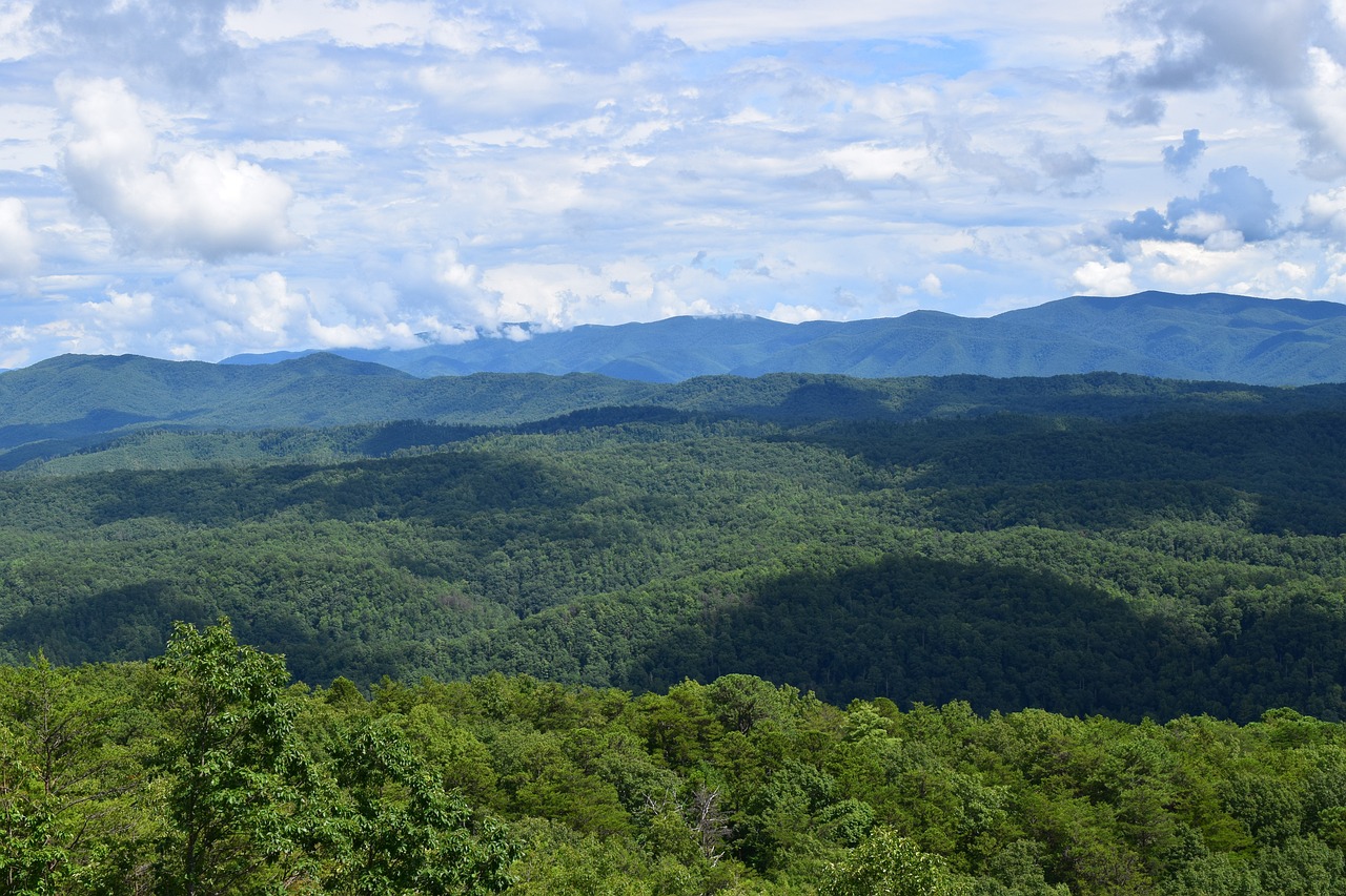Smoky mountains, smokies, tennessee, landscape, nature, appalachian, scenic, forest, trees, mountains, outdoors, country, sky, wilderness, clouds, hiking, woods, smoky, travel, view, sunny, panorama,