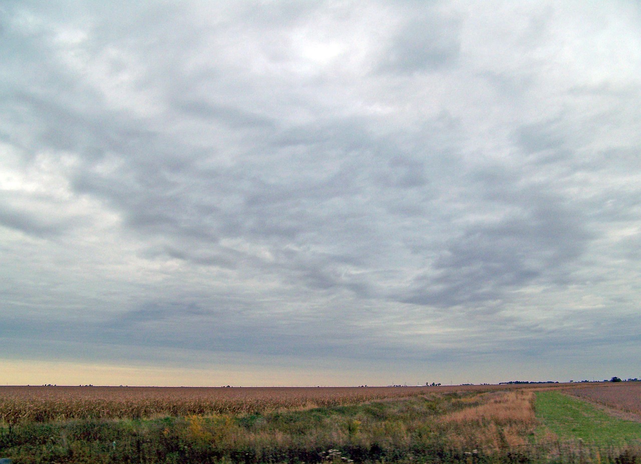 Indiana, field, autumn, fall, farm, landscape, rural, agriculture, midwest, corn, land, usa, horizon, crop, countryside, heartland, grain, growth, season, outdoor, harvest