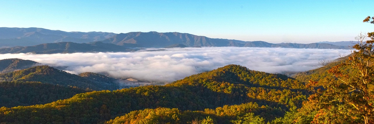 Great smoky moutains, smokies, clouds, fog, panarama, nature, trees, fall, color, serene, tennessee, sky, smoky, forest, country, countryside, appalachian, rural, peaceful, valley, outdoors, landscape