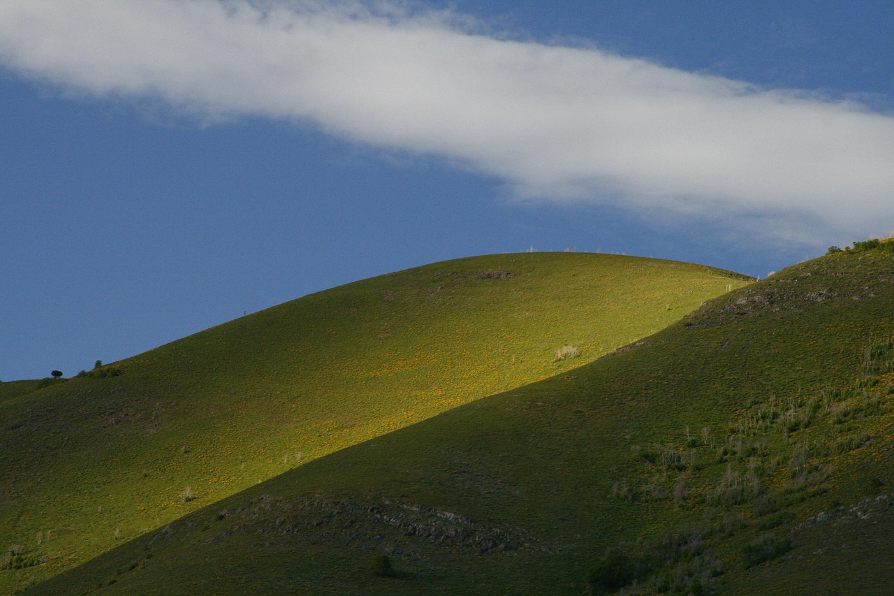 Green hills, utah, nature, landscape, hills, summer