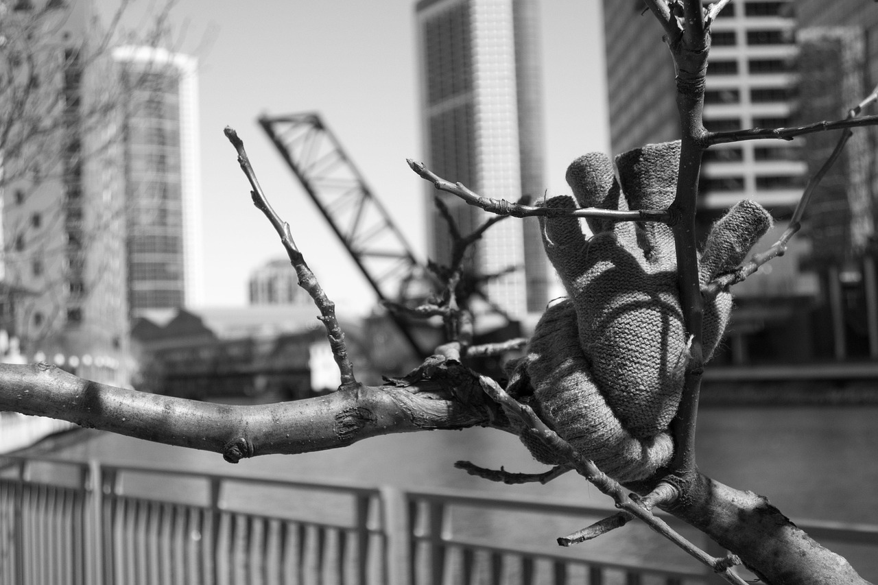 Chicago, city, river, cityscape, downtown, urban, usa, illinois, building, united, states, midwest, landscape, exterior, outdoors, glove, art, architecture, nature, tree, wooden, construction, bridge,