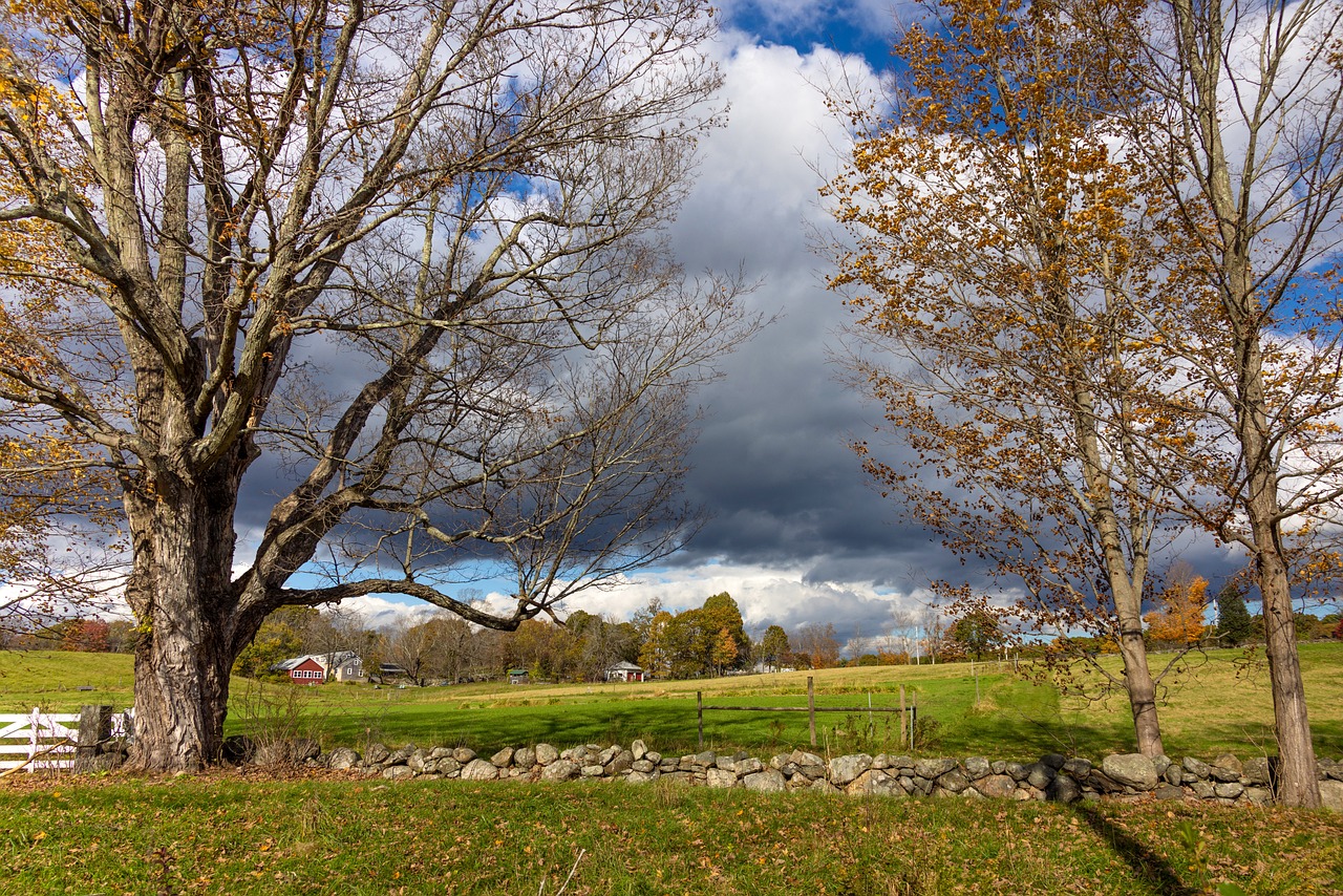 Farm, countryside, massachusetts, nature, autumn, landscape, fall, southborough, usa
