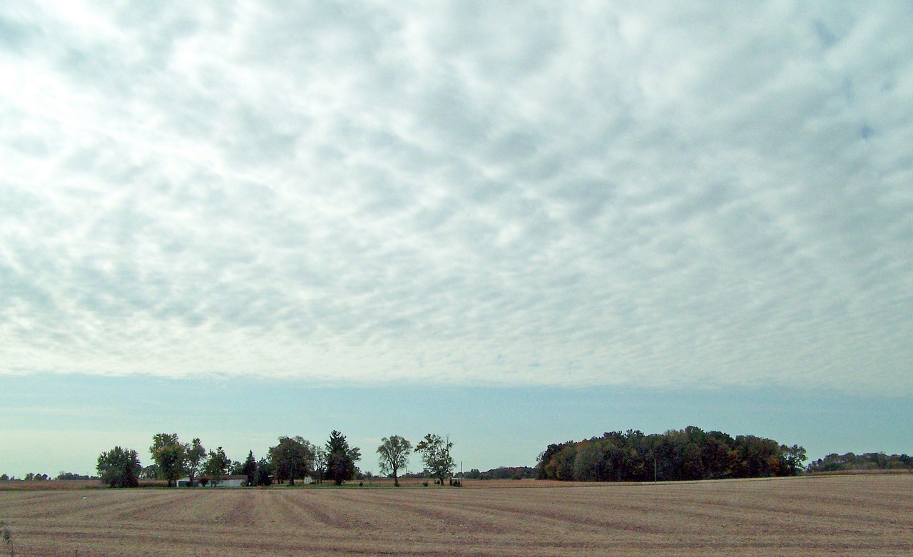 Indiana, field, sky, clouds, landscape, midwest, usa, heartland, country, pasture, countryside, growth, agriculture, rural, farm, crop, nature, harvest, barn, farmland, scenic